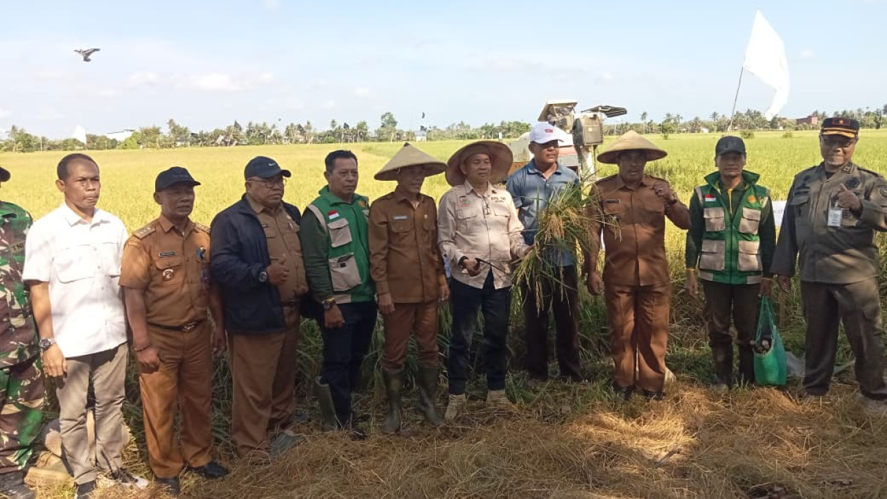 Panen Raya Kelompok Tani pematang Pilas Desa Sungai Awan Kanan