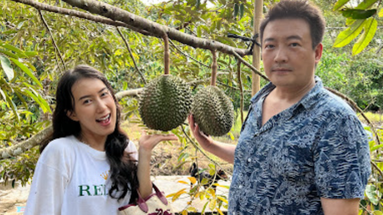 PERTANIAN DAN PARIWISATA RCH DURIAN ORCHARD