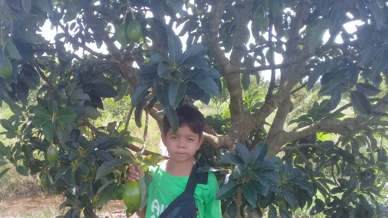 Wisata Petik Buah