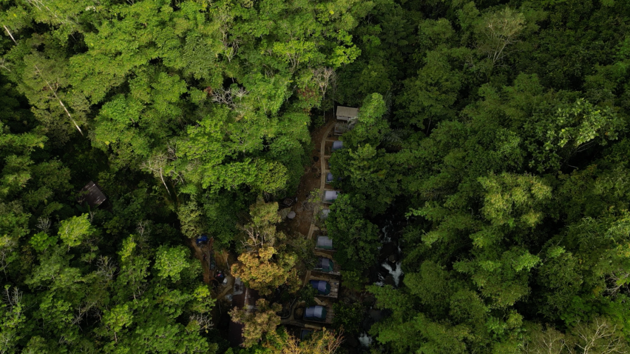 Upaya Petani di Ketapang Kalbar Swadaya Jaga Pelestarian Alam