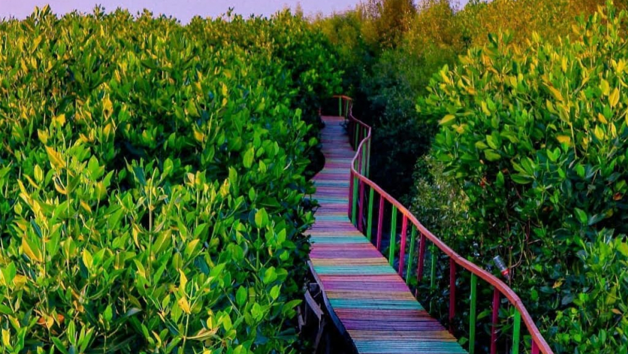 Taman Mangrove