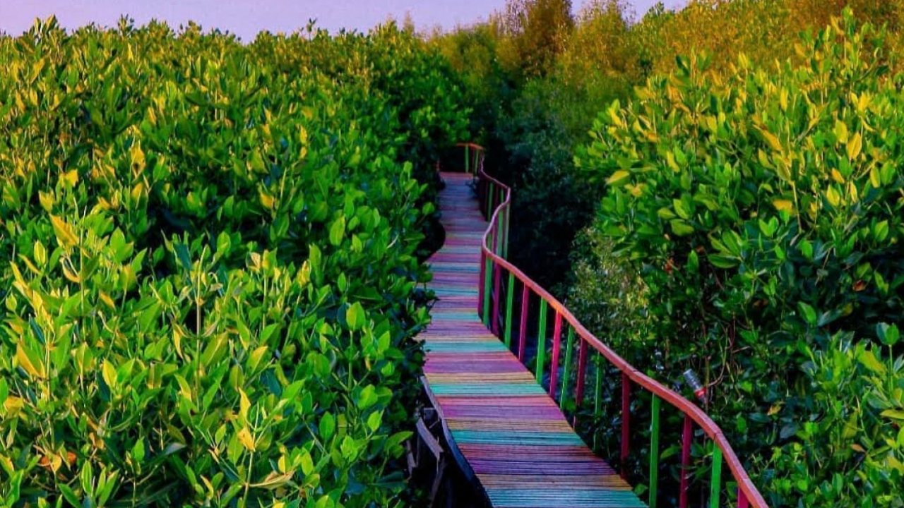Taman Mangrove
