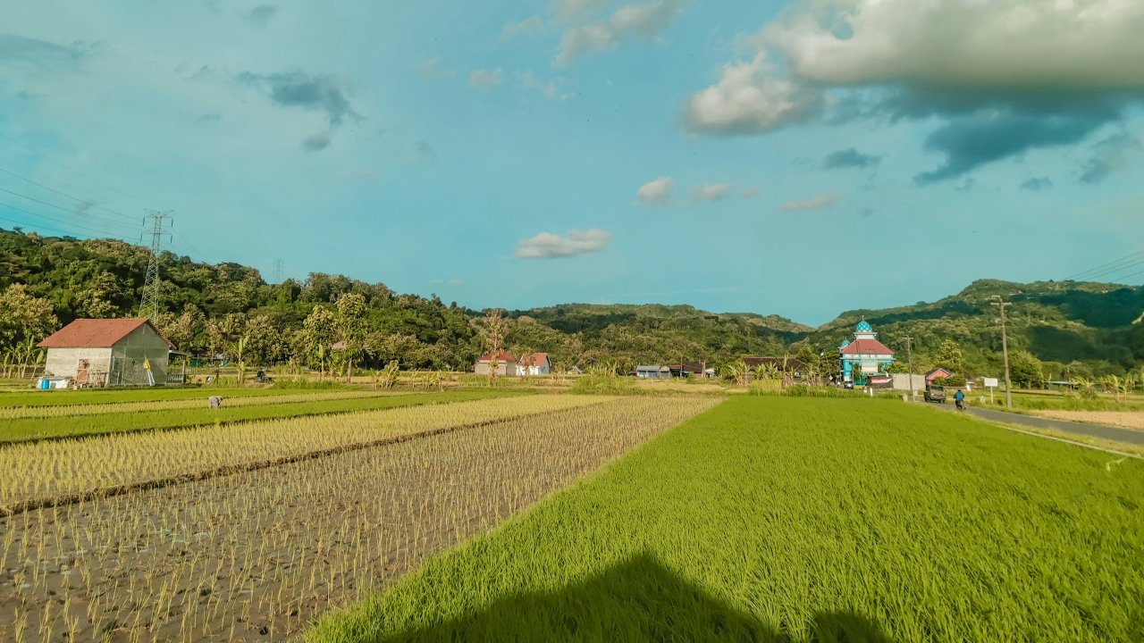 Wisata Alam Pedesaan Cinta Manis