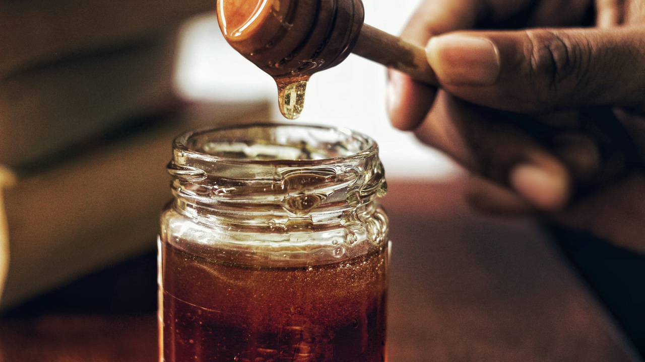 Hasil Hutan dan Madu Hutan