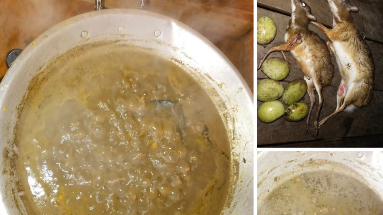 Pojit: Menikmati Cita Rasa Eksotis Kuliner Dayak Beginci