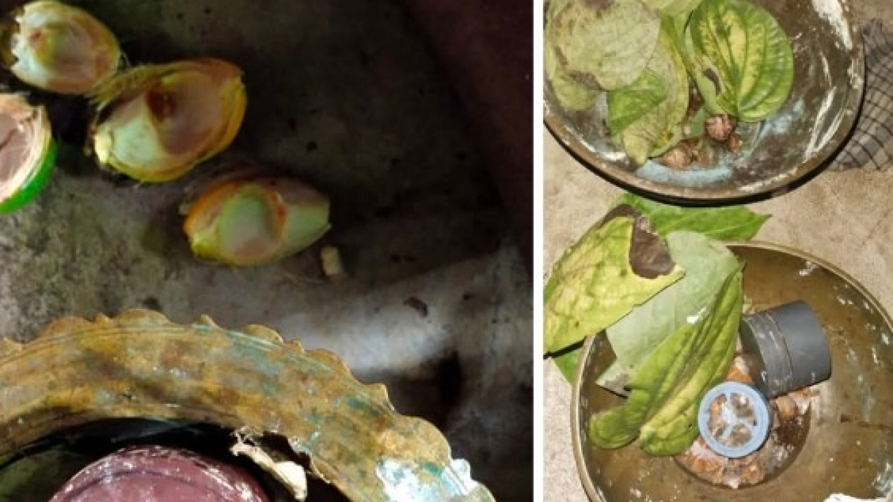 Tradisi Makan Pinang: Simbol Keramahan Suku Dayak Beginci