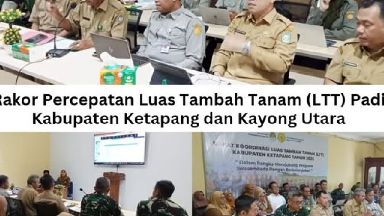 BSIP Kalbar Hadiri Rakor Percepatan Luas Tambah Tanam (LTT) Padi Kabupaten Ketapang dan Kayong Utara