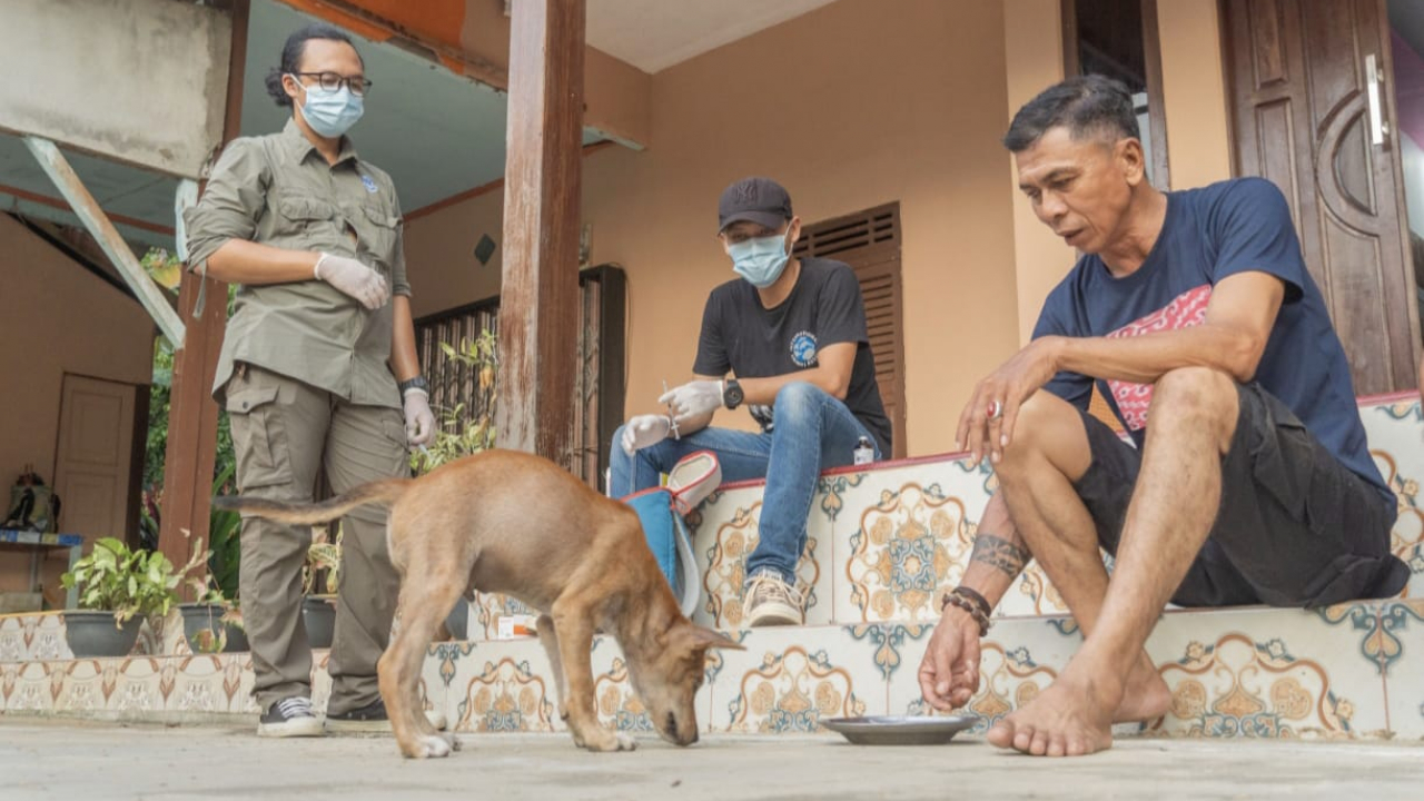 Ratusan Ekor Hewan Peliharaan di Hulu Sungai Dapatkan Vaksin Rabies Gratis