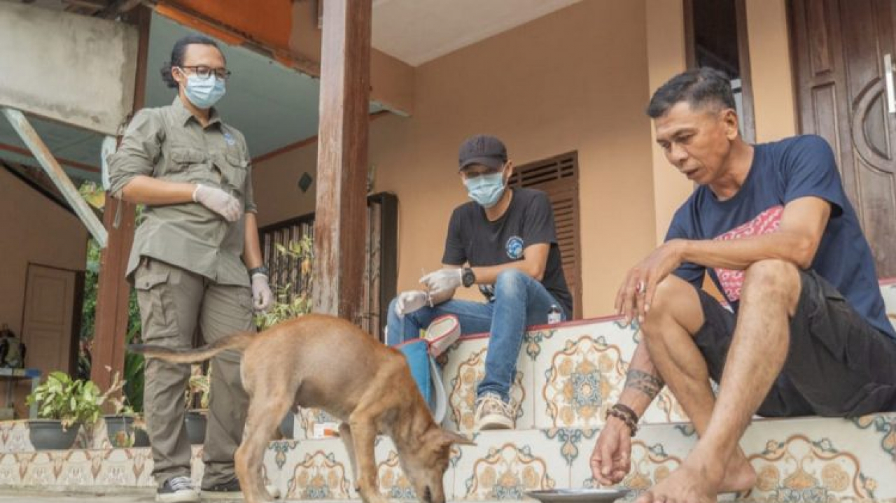 216 Hewan di Ketapang Dapat Vaksin Rabies Gratis, Lindungi dari Penyakit Mematikan