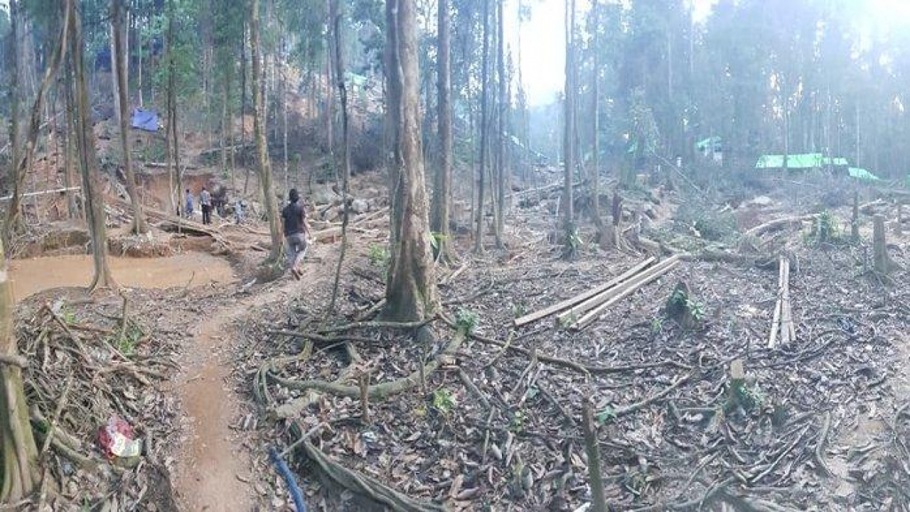 Polres Ketapang Tertibkan Lokasi Penambangan Emas Tanpa Izin di Kawasan Sayan Kecamatan Hulu Sungai   Artikel ini telah tayang di TribunPontianak.co.id dengan judul Polres Ketapang Tertibkan Lokasi Penambangan Emas Tanpa Izin di Kawasan Sayan Kecamatan Hulu Sungai, https://pontianak.tribunnews.com/2020/06/18/polres-ketapang-tertibkan-lokasi-penambangan-emas-tanpa-izin-di-kawasan-sayan-kecamatan-hulu-sungai.