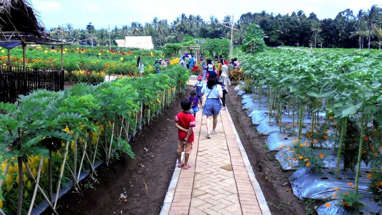 Agrowisata & Edukasi Lingkungan