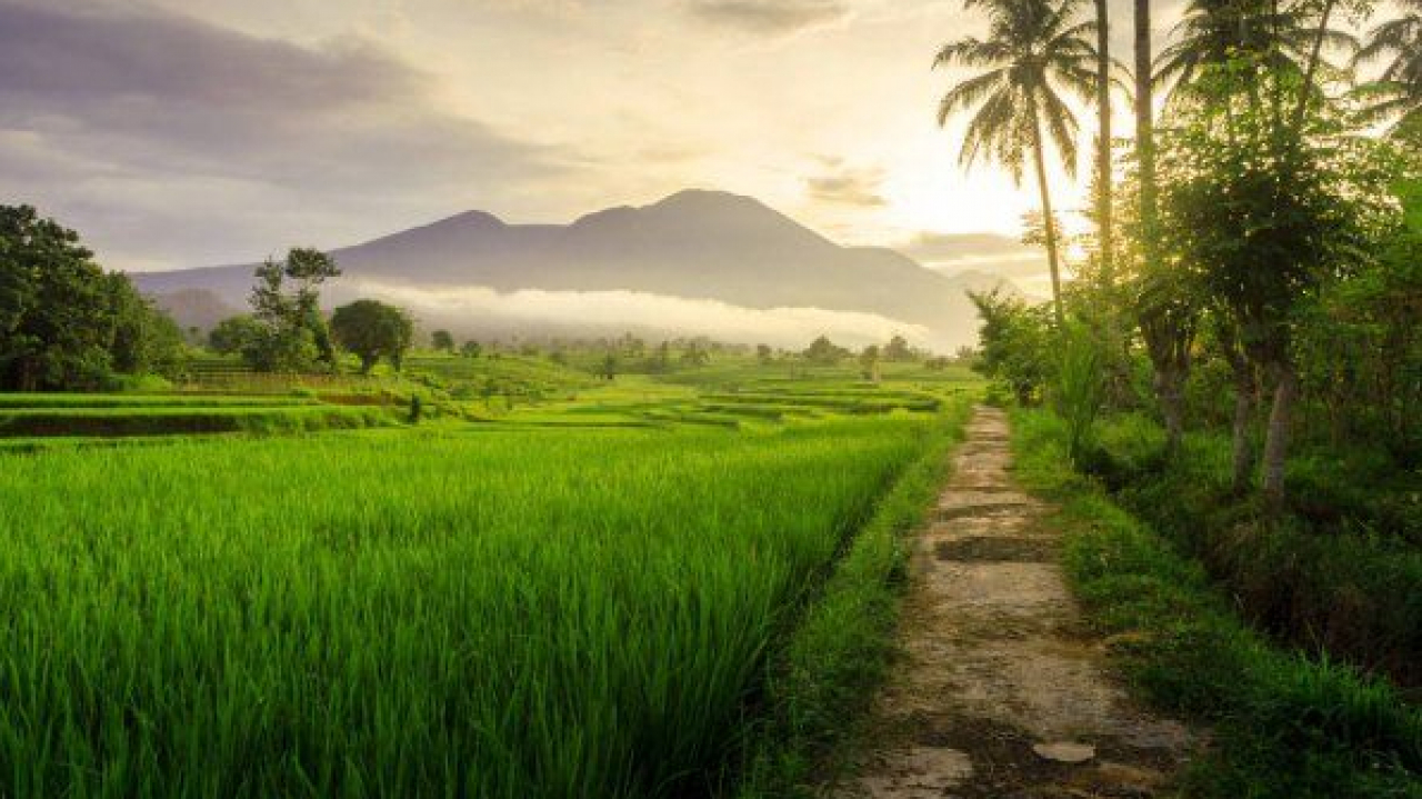 Lingkungan Desa yang Autentik