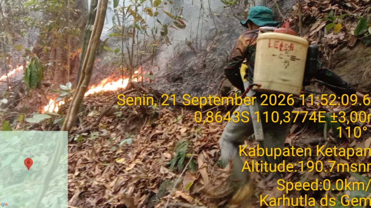 Kebakaran hutan dan lahan di desa Gema
