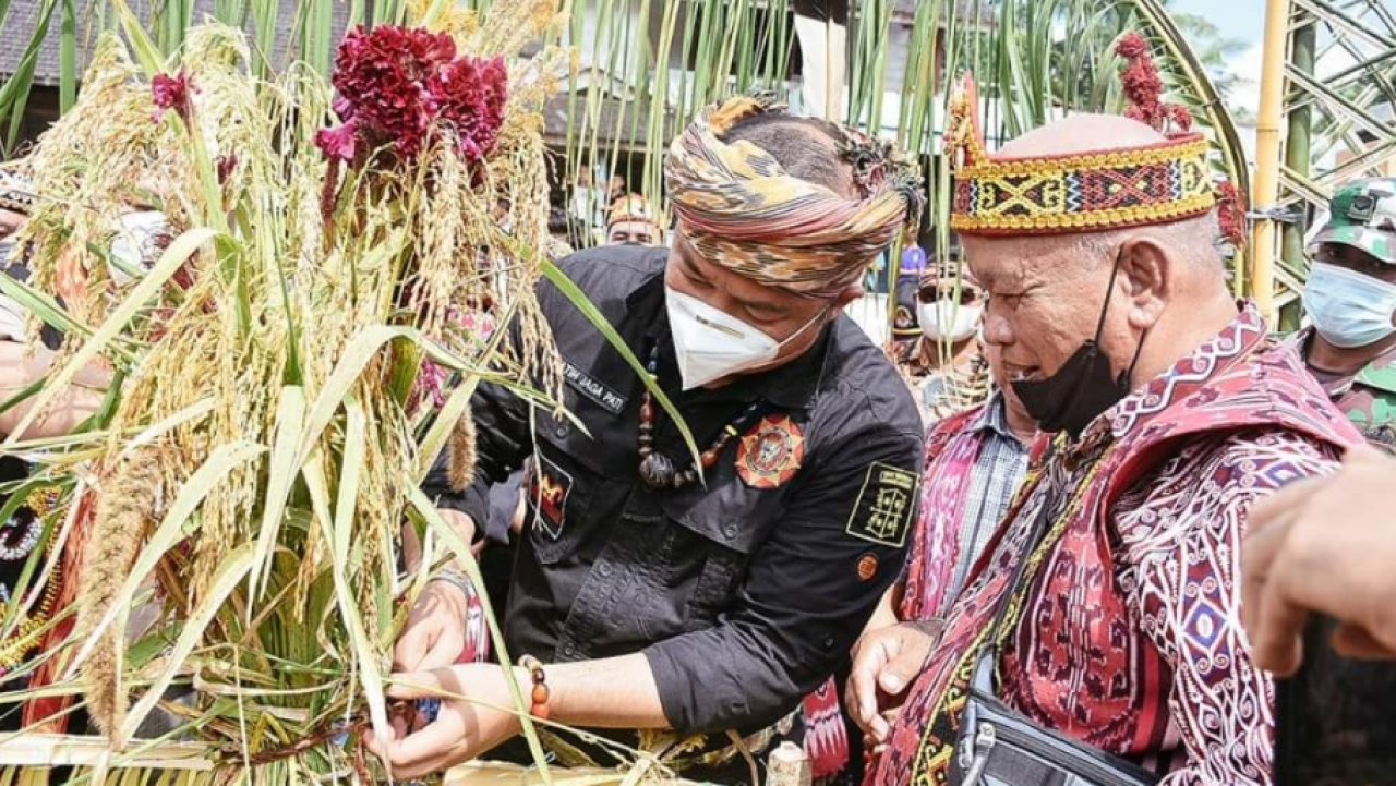 Tradisi Adat Bejujokng Desa Gema Sebagai Bentuk Rasa Sukur Limpahan Rezeki pada Musim Panen Padi