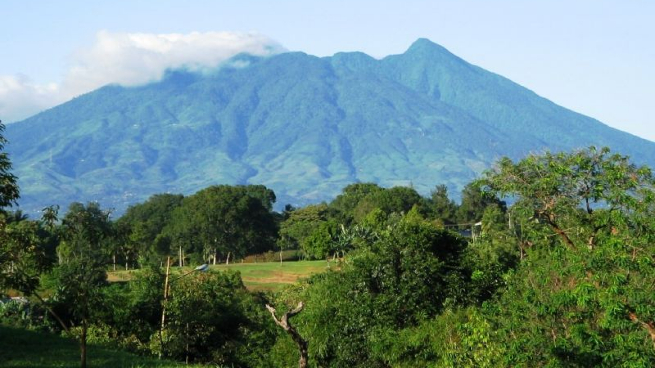 Taman Nasional Gunung Palung