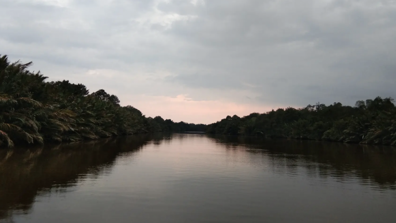 Muara Sungai Kualan
