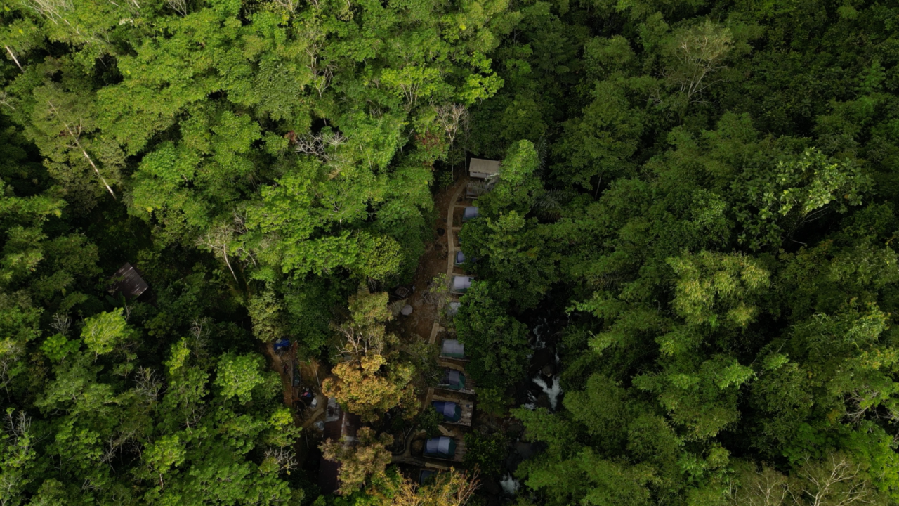 Upaya Petani di Ketapang Kalbar Swadaya Jaga Pelestarian Alam