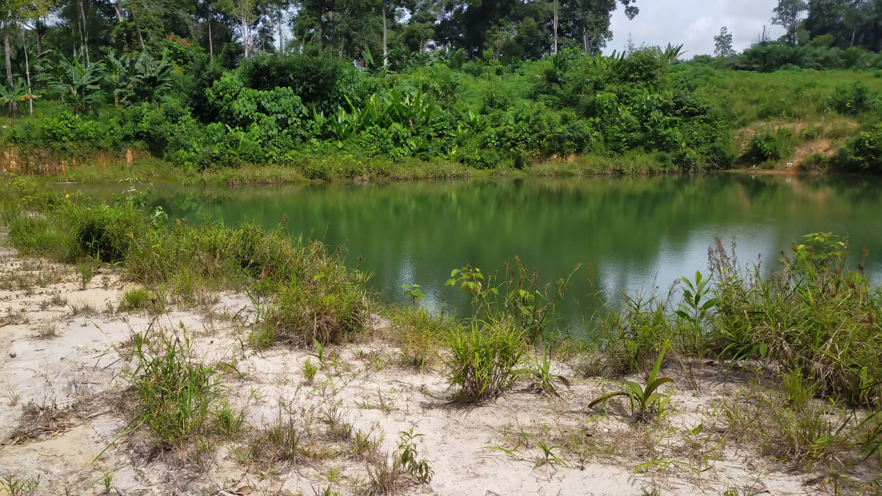 Wisata Waduk Benua Sarang