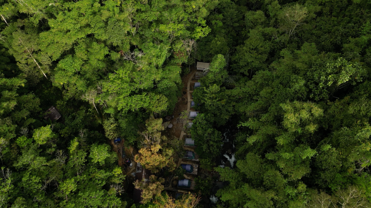 Upaya Petani di Ketapang Kalbar Swadaya Jaga Pelestarian Alam