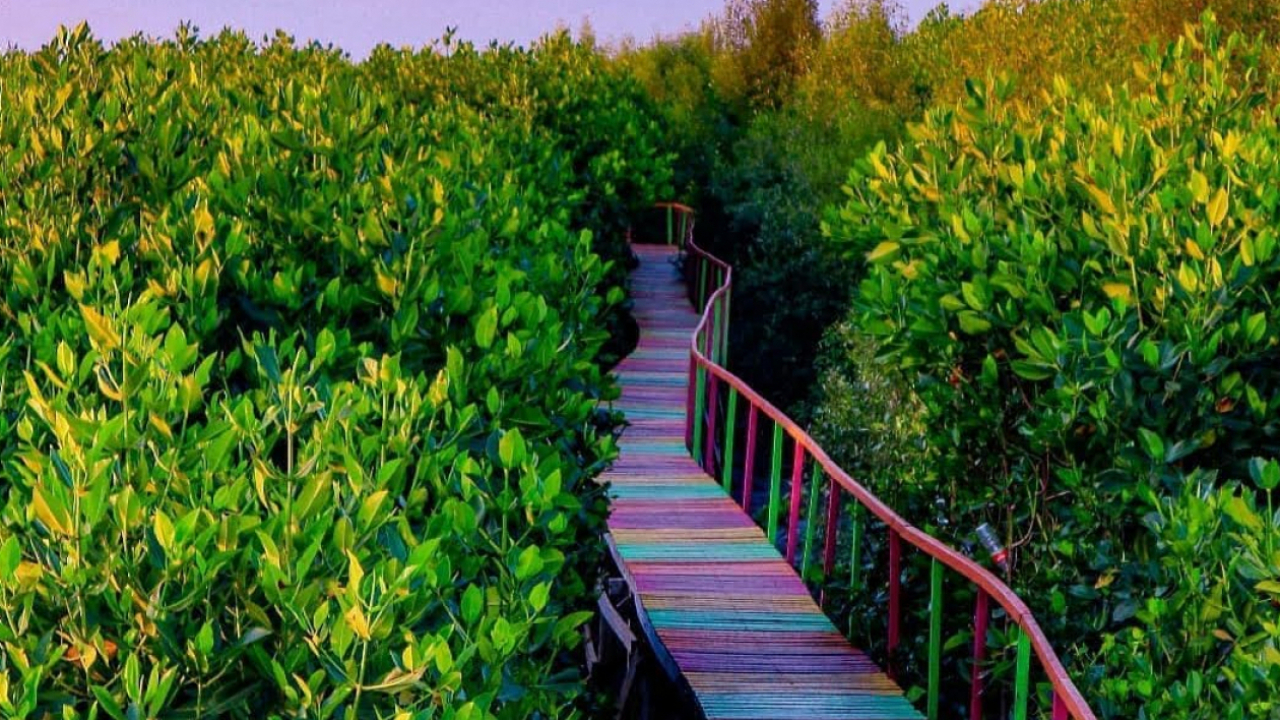 Taman Mangrove