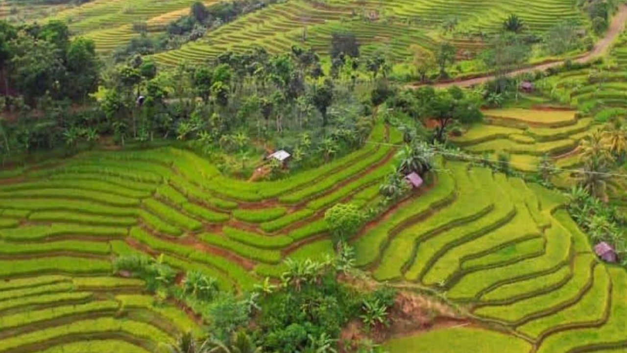 Wisata Megaterasering