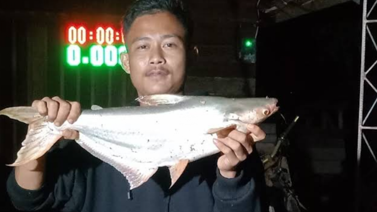 PEMANCINGAN GALATAMA 7 "99 3N70Y" ,ANGKRINGAN DAN WIFFI.