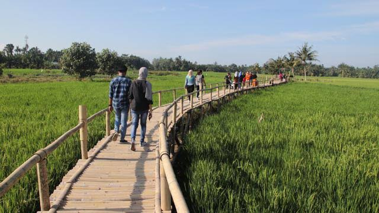 Pertanian dan Perkebunan