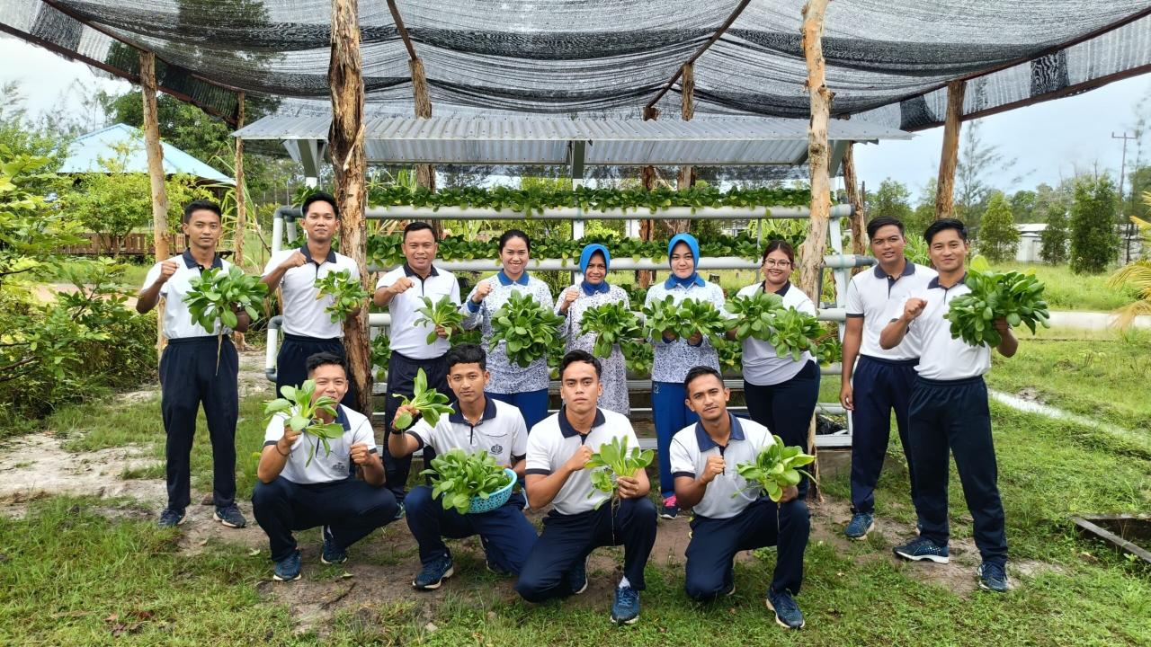 Prajurit dan Jalasenastri Lanal Ketapang Panen Selada Air Hasil Ketahanan Pangan