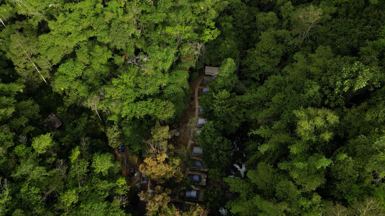Upaya Petani di Ketapang Kalbar Swadaya Jaga Pelestarian Alam