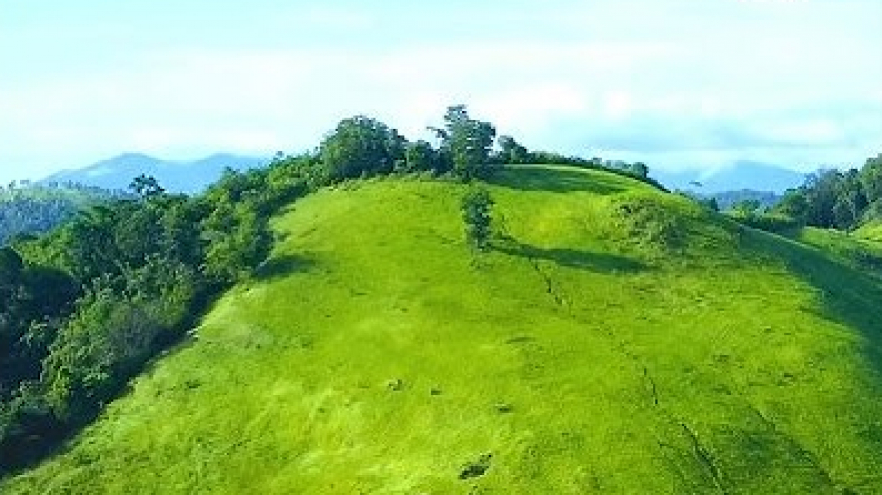 Menjelajahi Bukit Desa Lalang Panjang