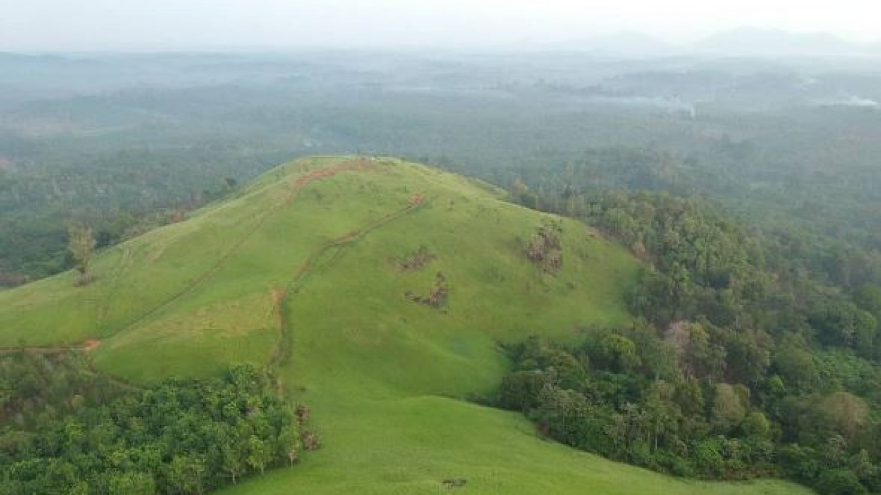 Bukit Desa Lalang Panjang
