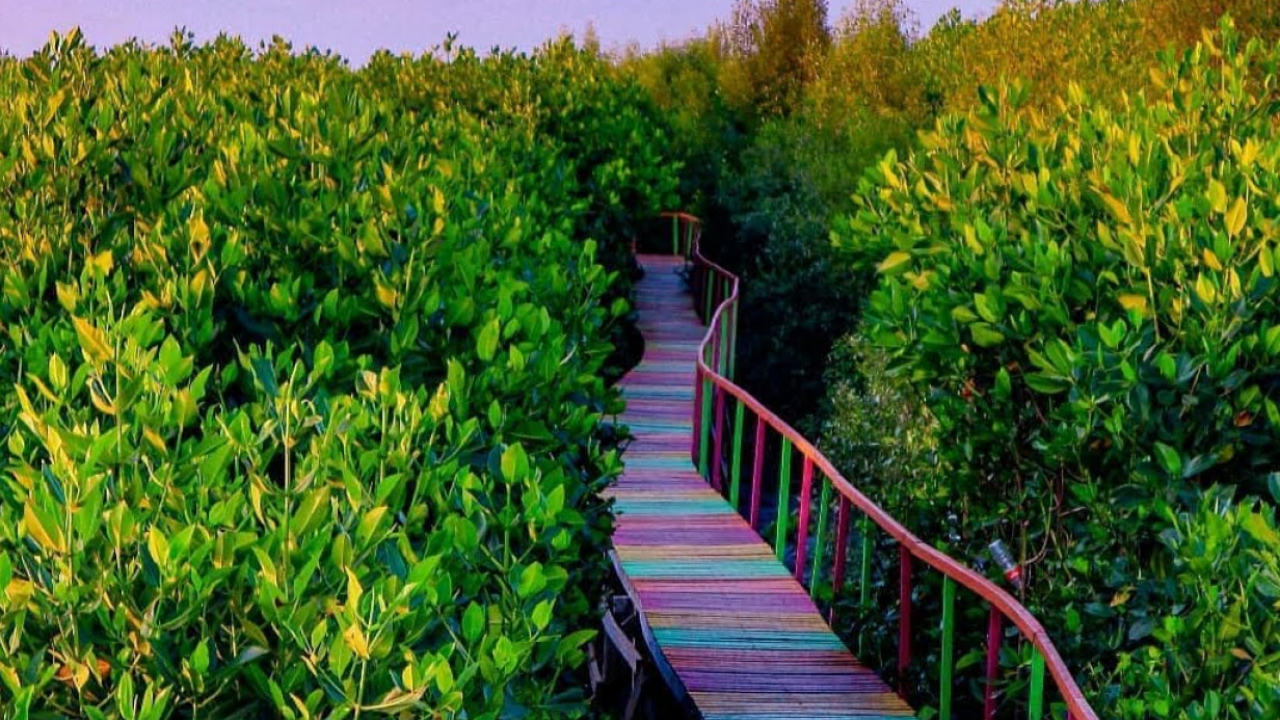 Taman Mangrove