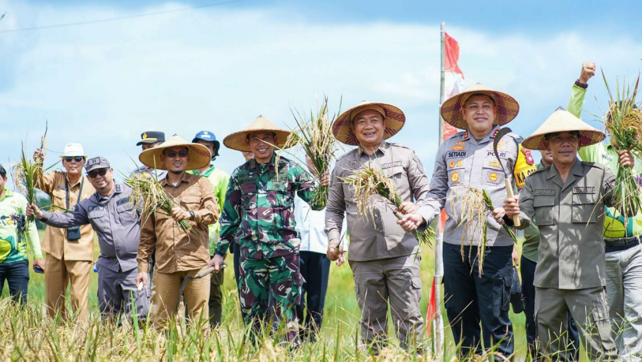 Ketapang Laksanakan Panen Padi Serentak Prabowo