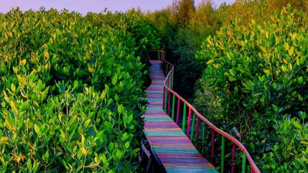 Taman Mangrove