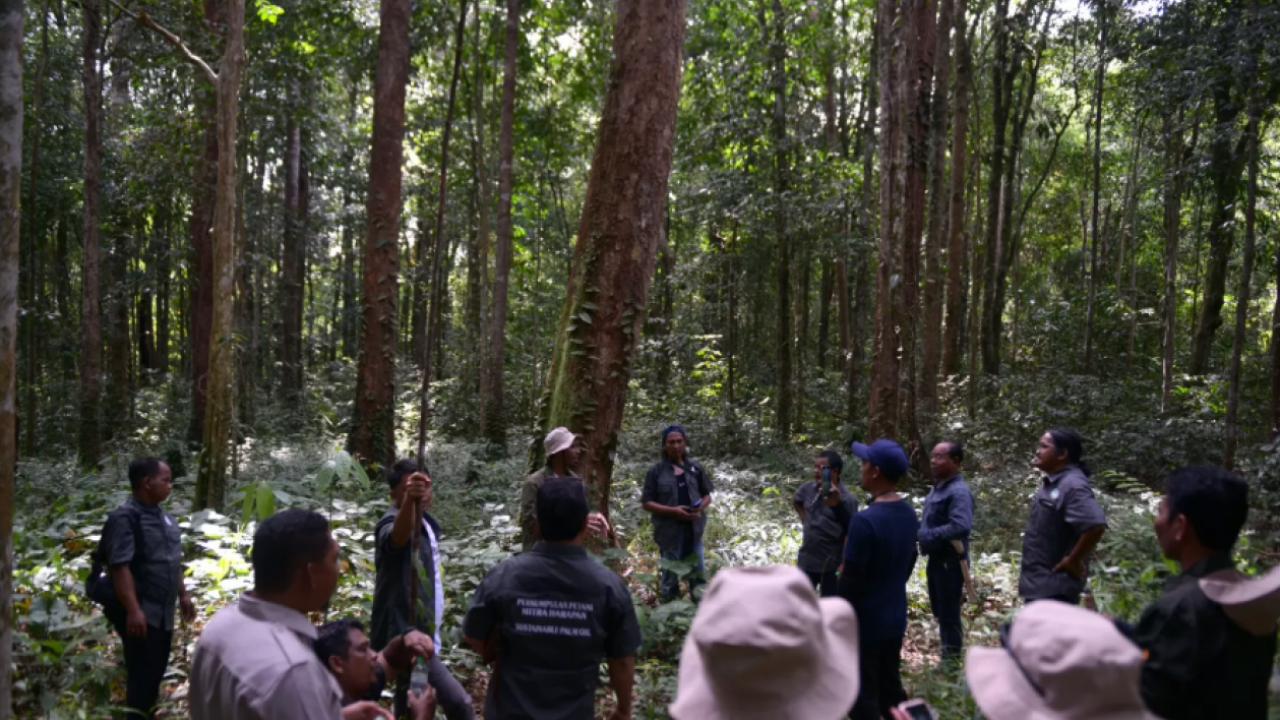 Upaya Petani di Ketapang Kalbar Swadaya Jaga Pelestarian Alam