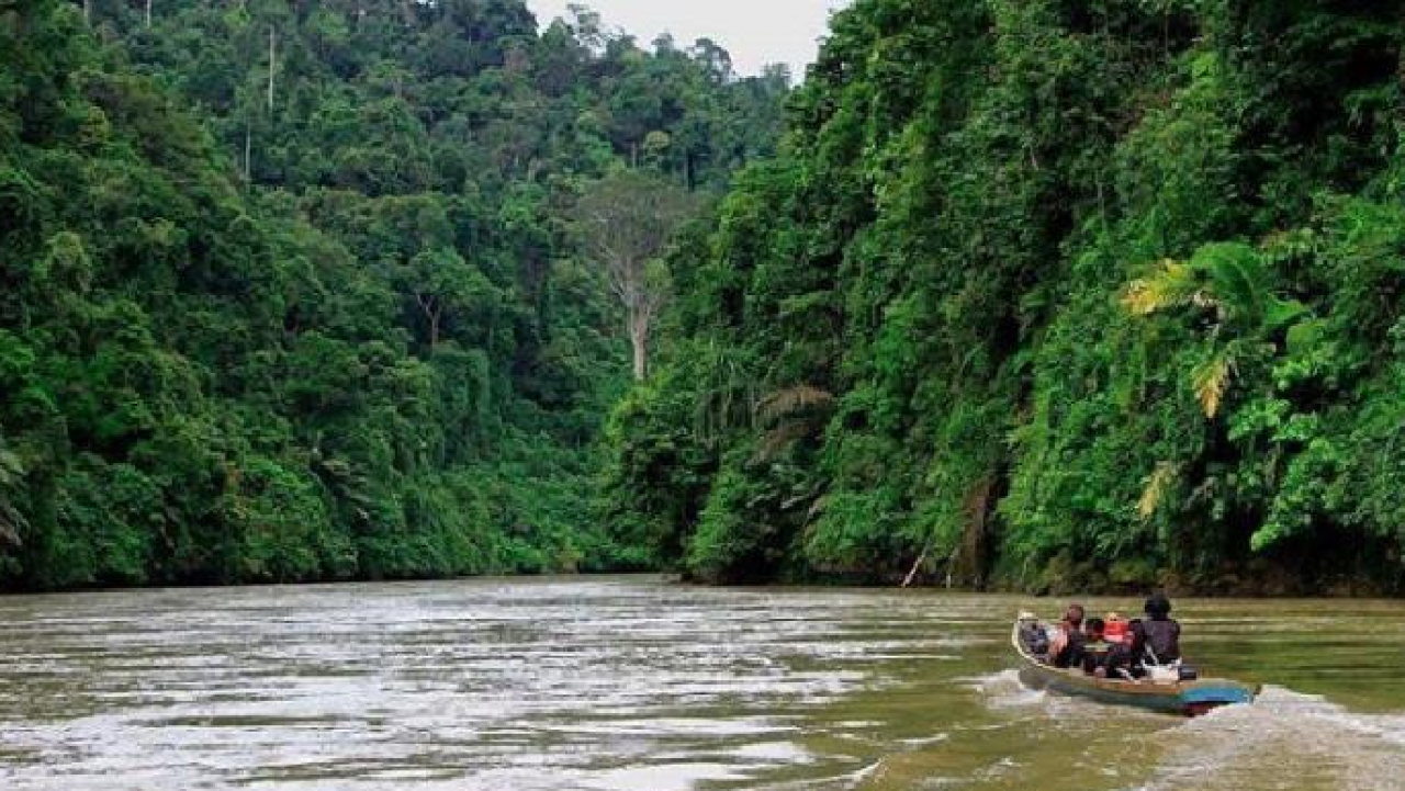 Sudut Alam Sungai & Flora Fauna Kring Sungai Melayu