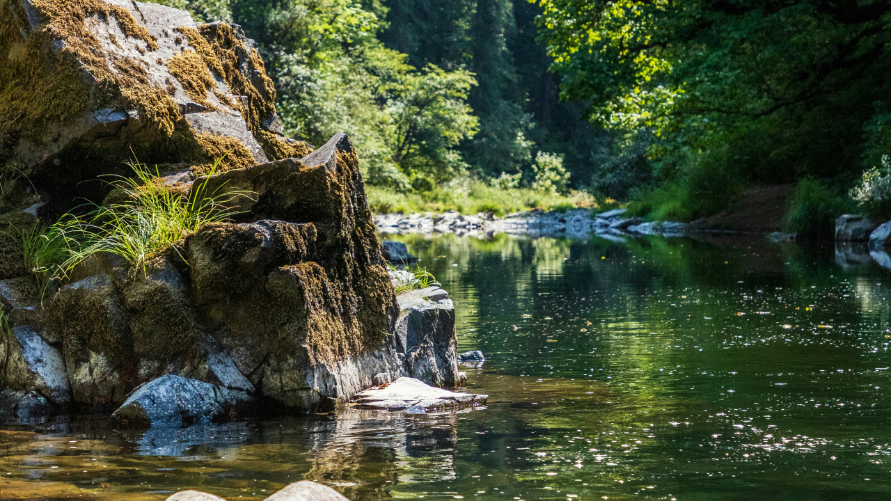 Susur Sungai & Panorama Alam Tepi Air