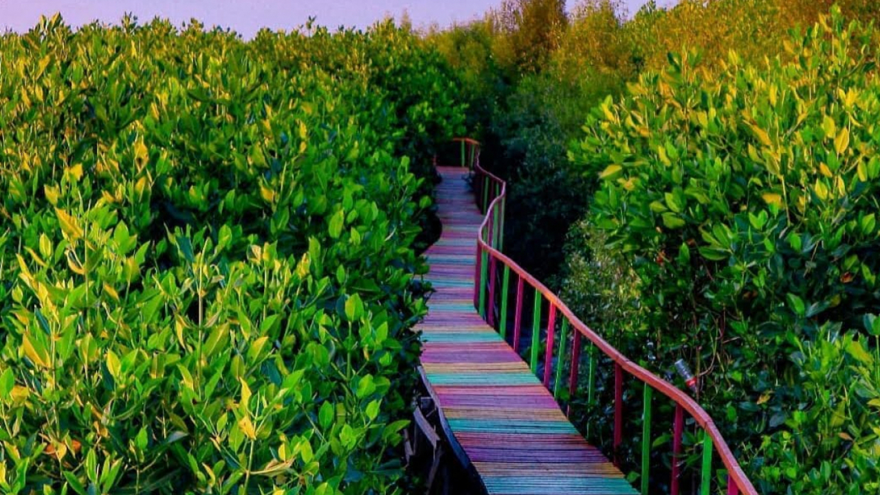 Taman Mangrove