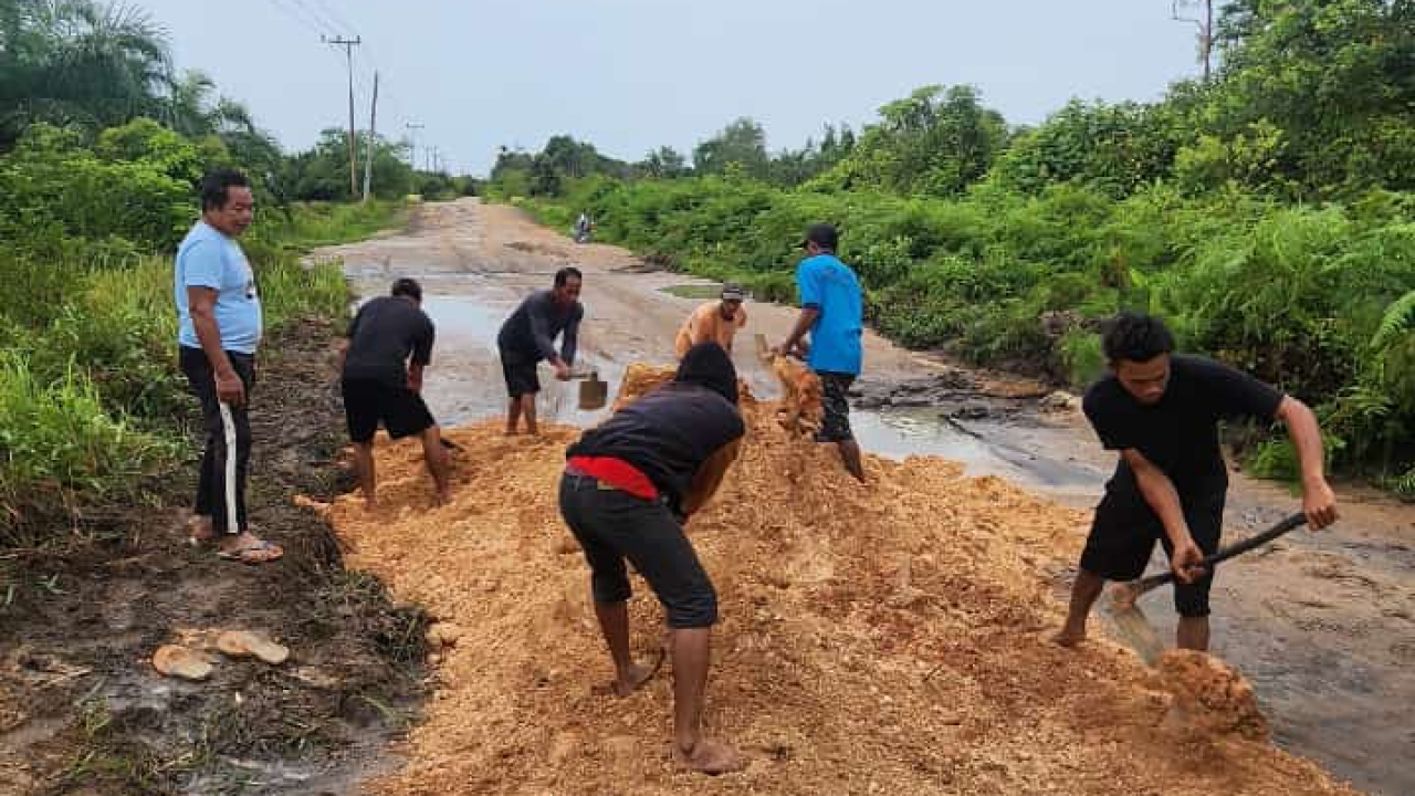 Gotong Royong Perbaikan Jalan Tergenang di Desa Sabuai