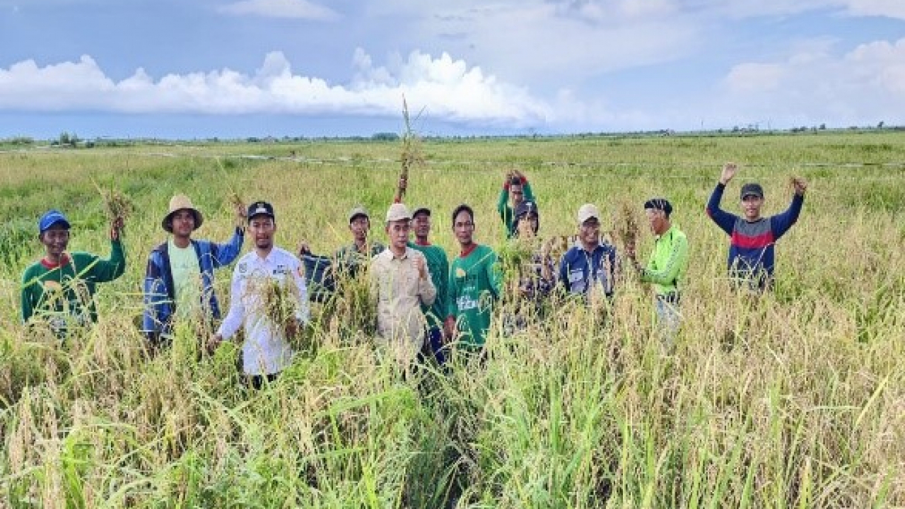 Pertanian: Tulang Punggung Ekonomi Desa Sabuai di Hari Tani Nasional 2024