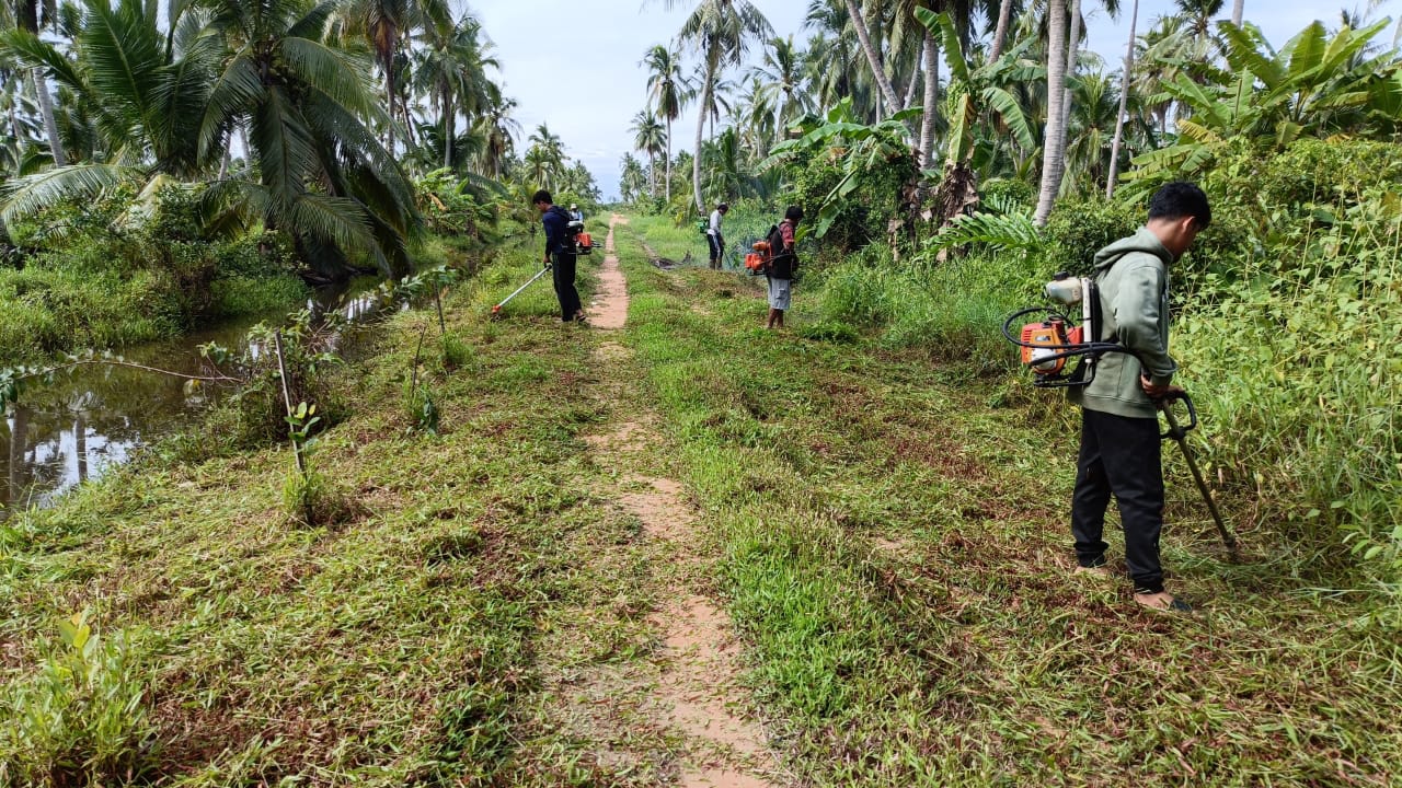 Gotong Royong "Sabuai Sega" di Desa Sabuai