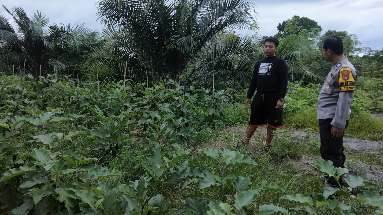 Bhabinkamtibmas Dukung Ketahanan Pangan di Desa Sabuai