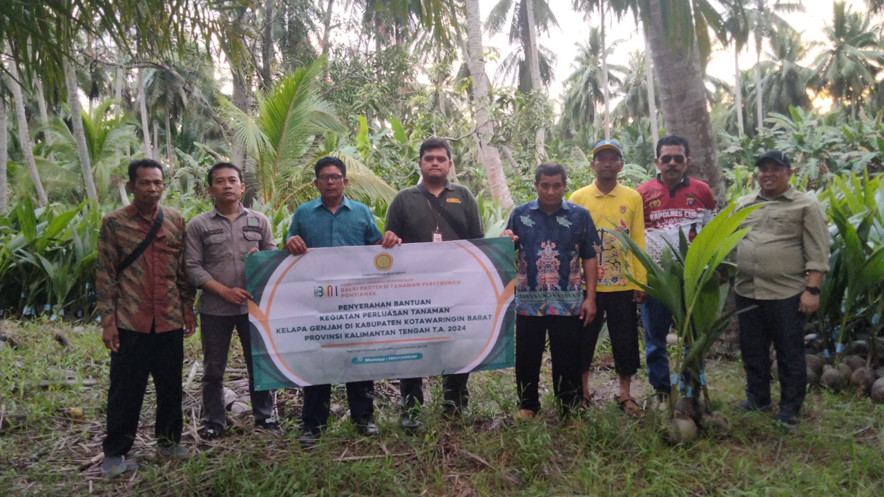 Ekonomi Desa Sabuai Didukung Perluasan Tanaman Kelapa Genjah