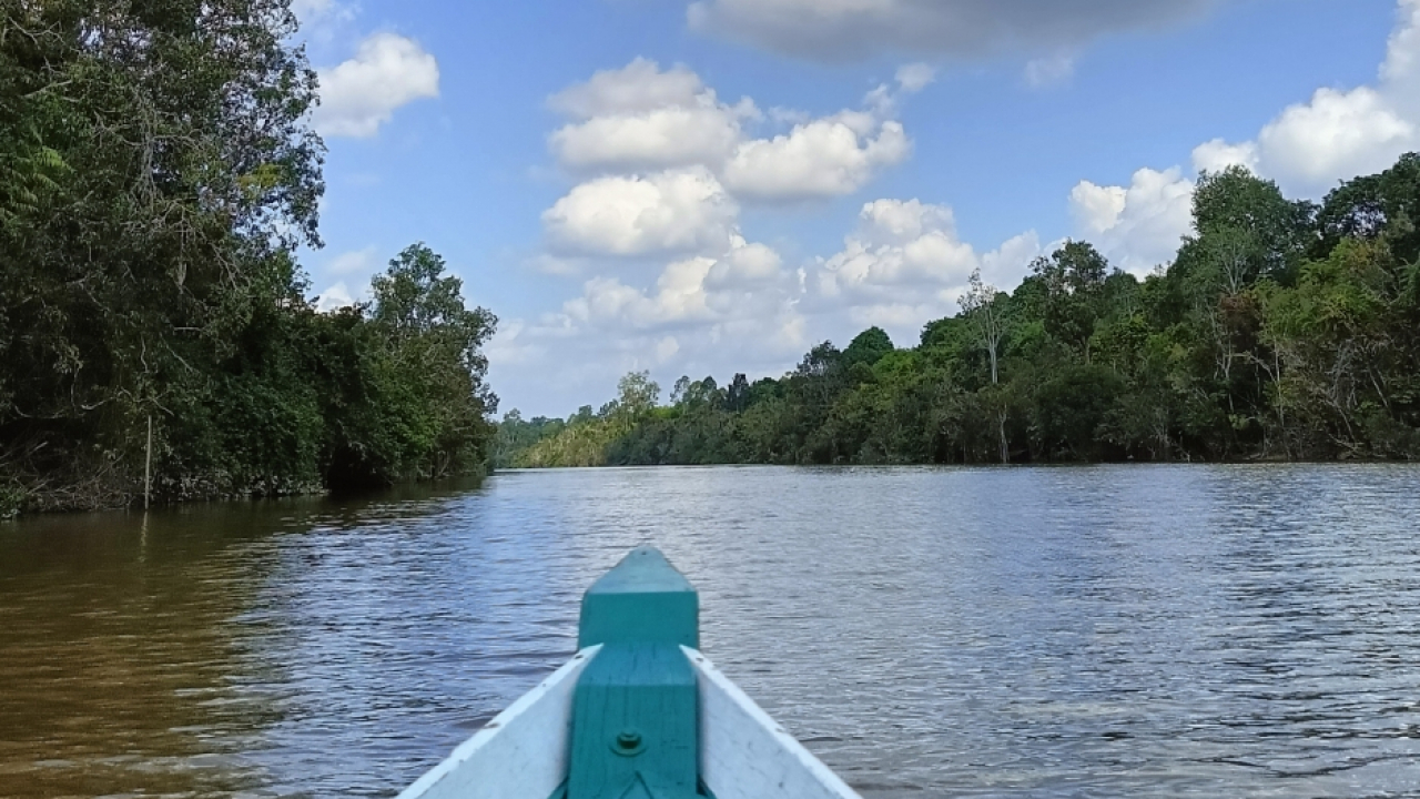Sungai Janggi