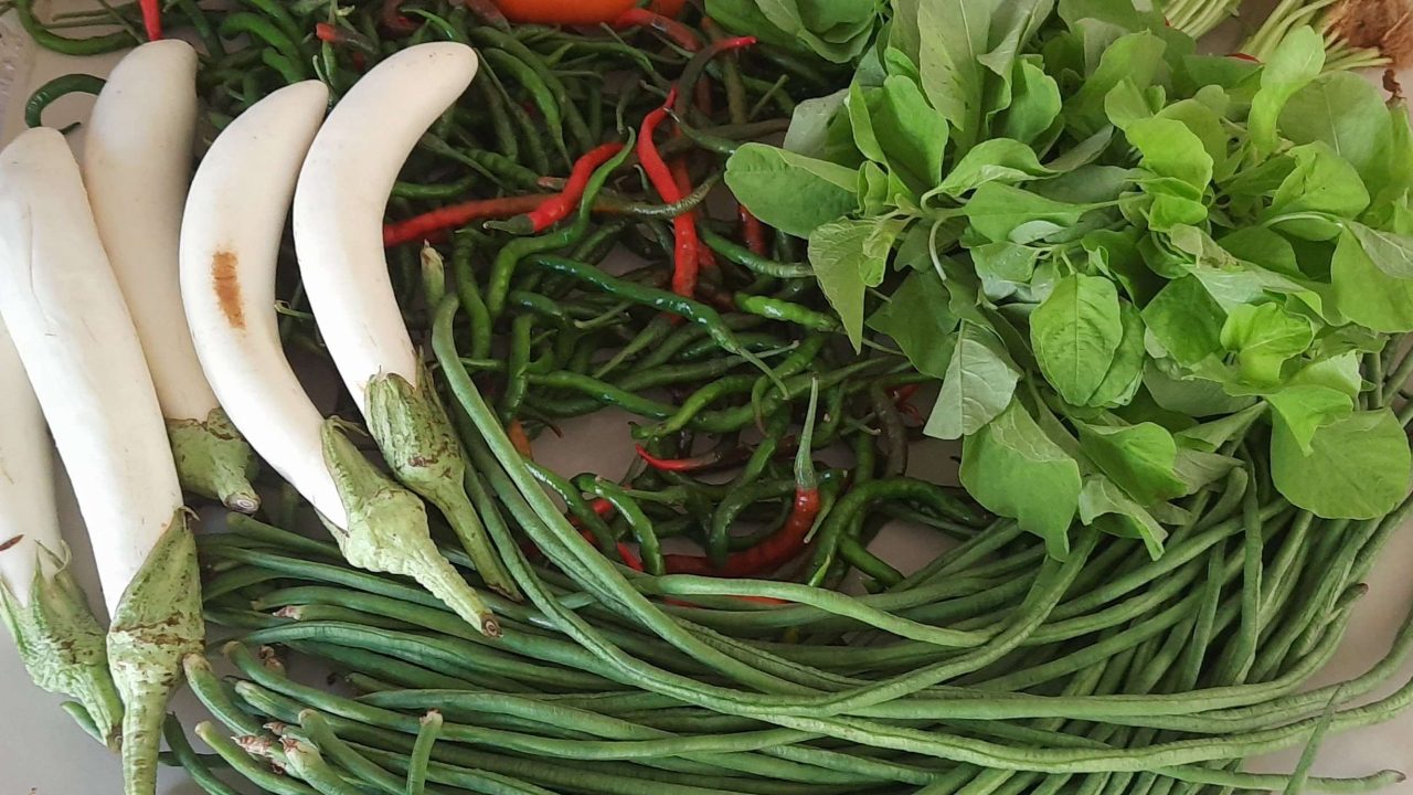 Sayur Mayur Sei Liju