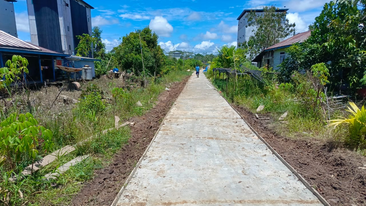 Pemerintah Desa Tewang Kampung Laksanakan Semenisasi Jalan Usaha Tani dengan Dana Desa Tahap 1
