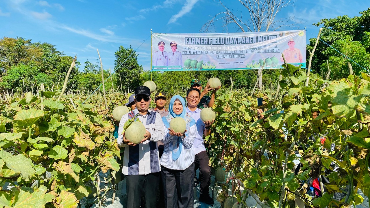 Panen Raya Melon di Desa Kapar, Wujud Nyata Dukungan Ketahanan Pangan
