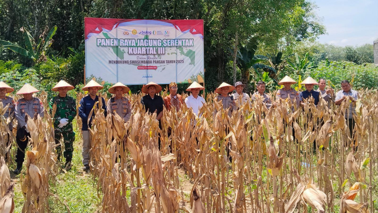Panen Raya Jagung Serentak Kuartal III di Desa Kapar