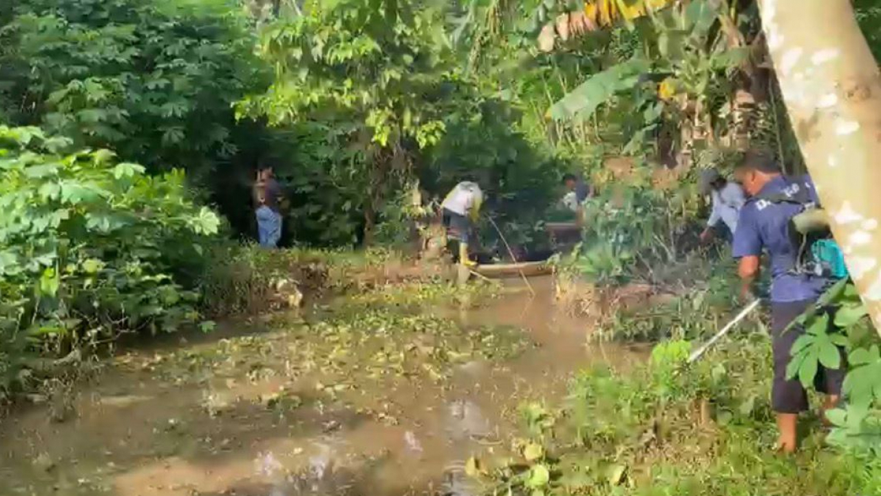 Pemeliharaan Daerah Aliran Sungai ( DAS )