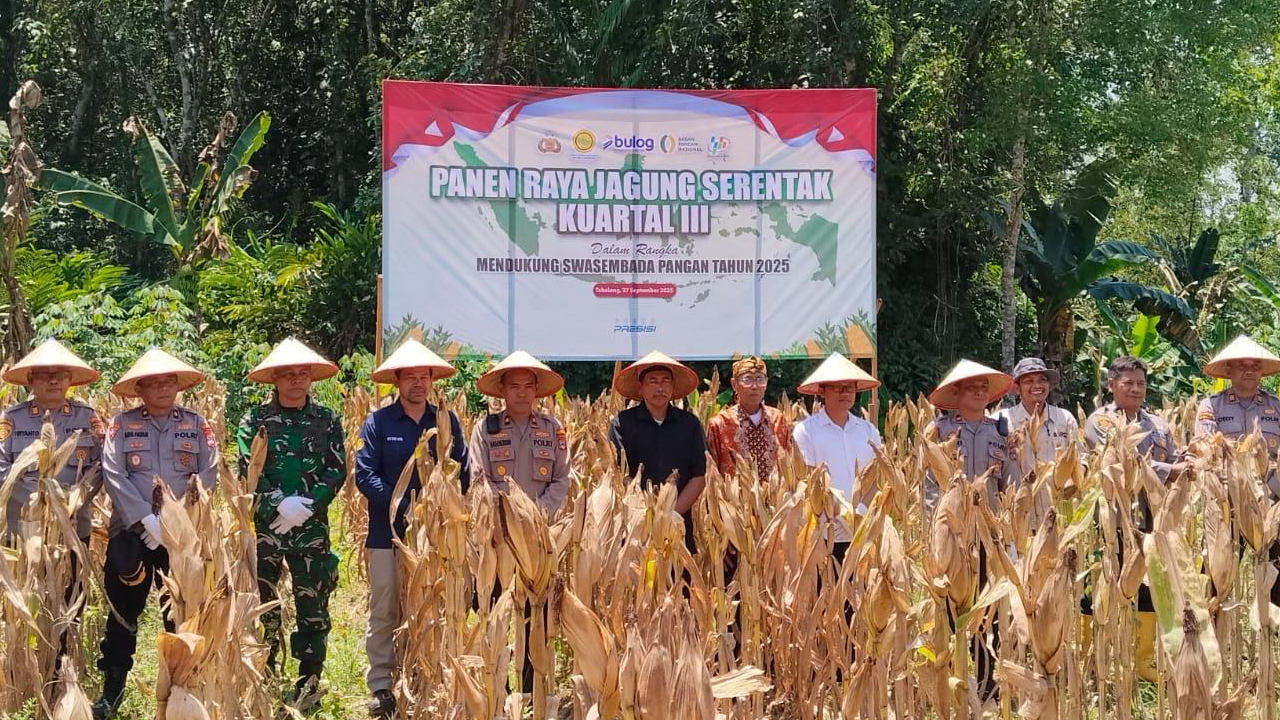 Jagung
